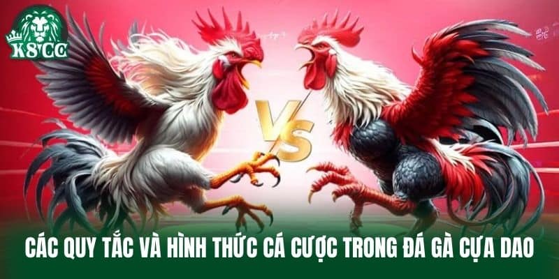 Các quy tắc và hình thức cá cược trong Đá Gà Cựa Dao