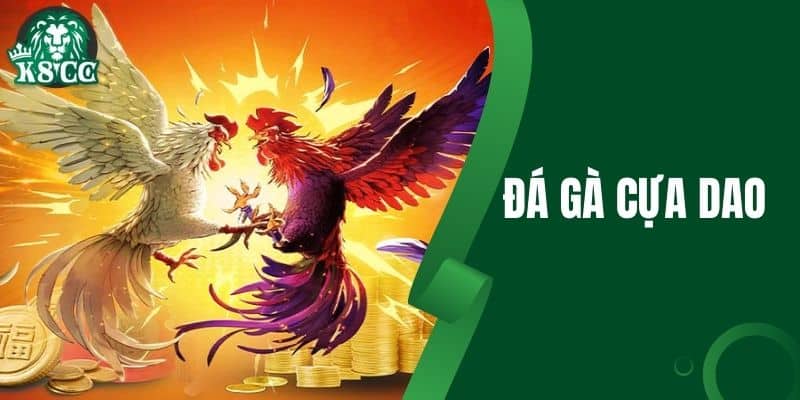 Đá Gà Cựa Dao - Kinh Nghiệm Chọi Gà Thắng Lớn 2025