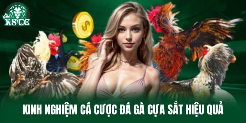 Kinh nghiệm cá cược Đá Gà Cựa Sắt hiệu quả