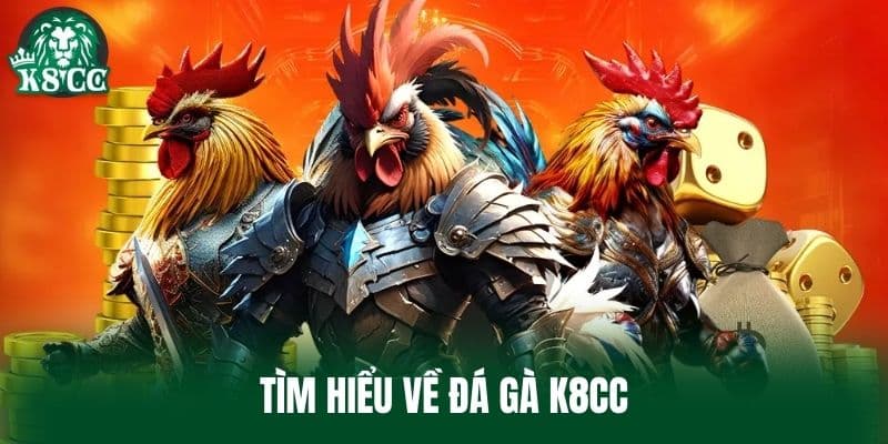 Tìm hiểu về Đá Gà K8CC