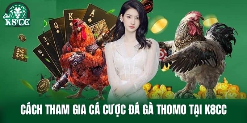 Cách tham gia cá cược Đá Gà Thomo tại K8CC
