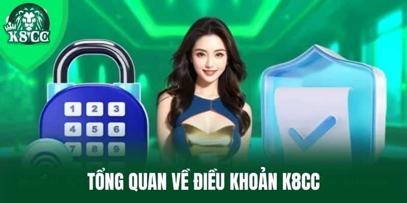 Tổng quan về điều khoản K8CC